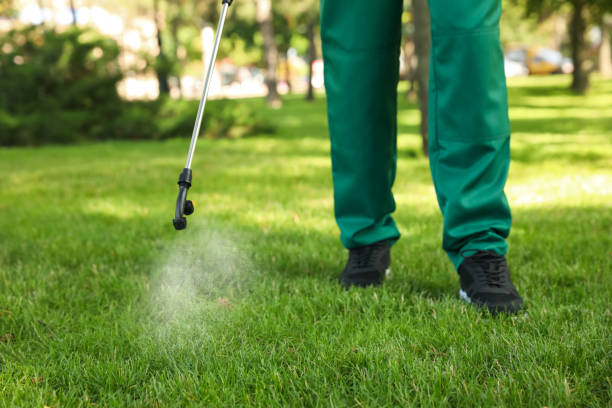 Best Cockroach Control Services  in Kent, WA