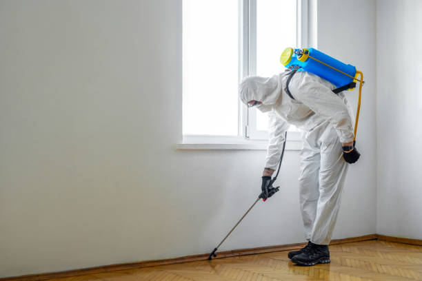 Best Flea Control Services  in Kent, WA