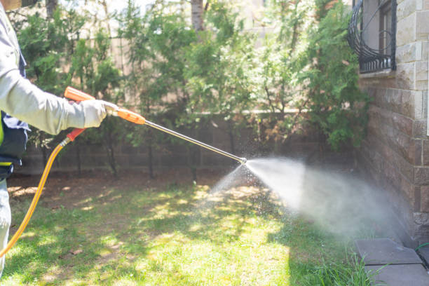 Pest Control Cost in Kent, WA