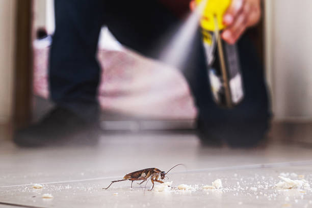 Best Pest Removal Services  in Kent, WA