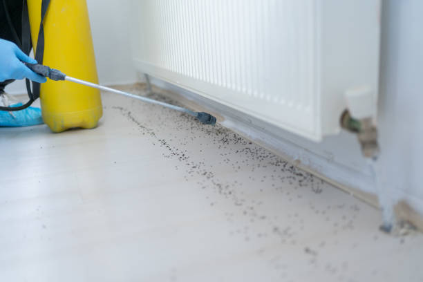  Kent, WA Pest Control Pros