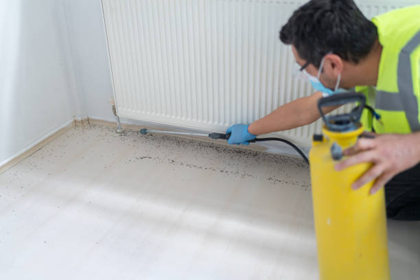 Best Emergency Pest Control  in Kent, WA