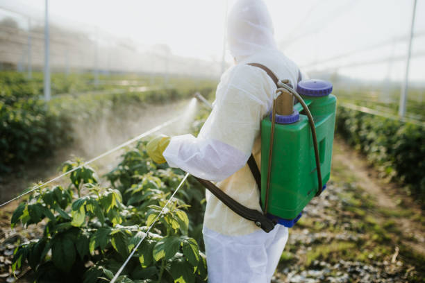 Professional Pest Control in Kent, WA